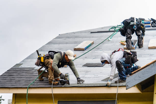 Professional Storm Damage Roof Repair technician working in Salvisa, KY